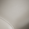 EA Leather Upgrade Option